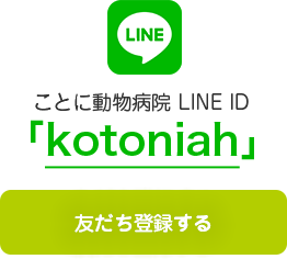 LINE ID 「kotoniah」